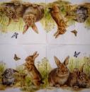 227 Rabbits:  natürlich - 3 ply - Ihr